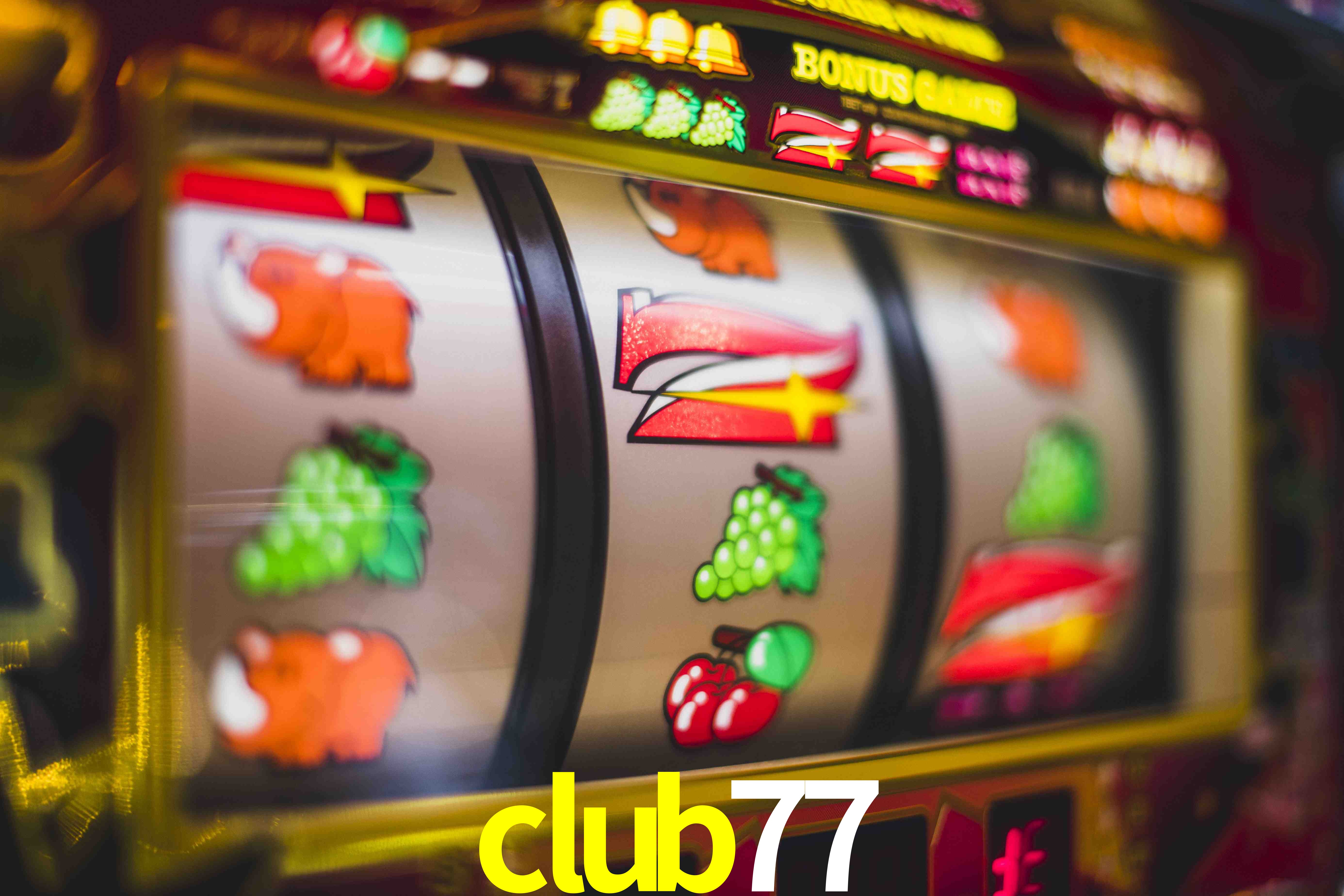Live Casino club77
